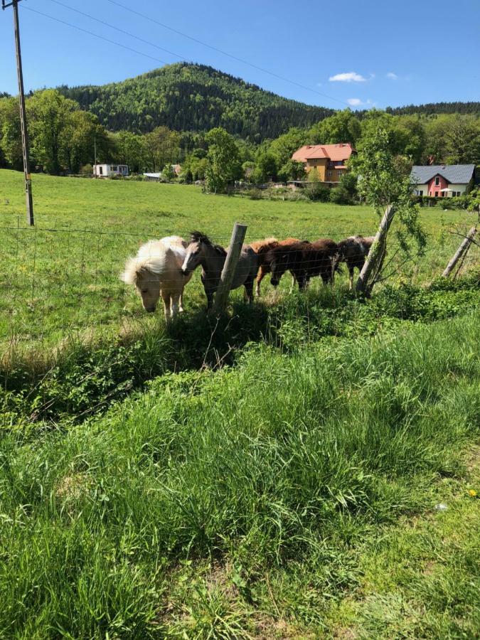 Dom Gorski Do Wynajecia 3 Km Od Karpacza Sudecka 100